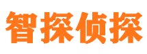 安图市私家侦探